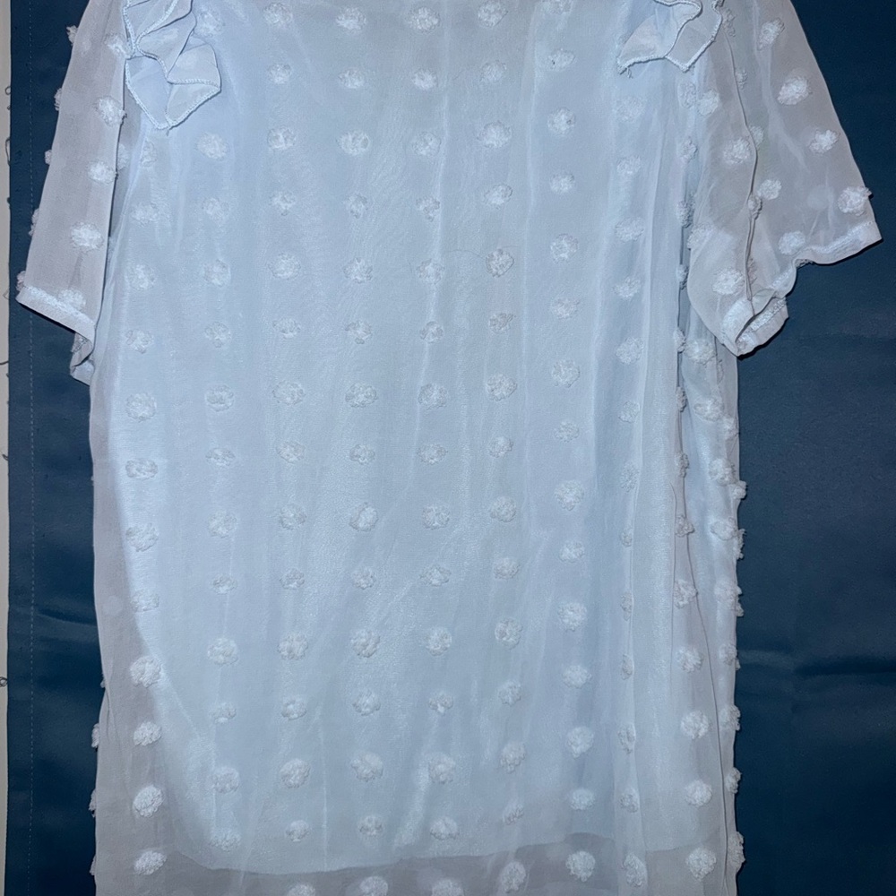 Light Blue Textured Blouse